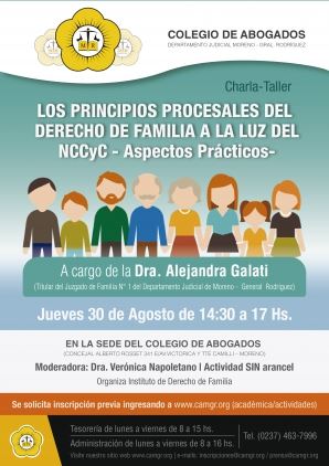 LOS PRINCIPIOS PROCESALES DEL DERECHO DE FAMILIA